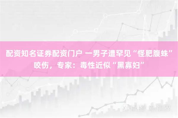 配资知名证券配资门户 一男子遭罕见“怪肥腹蛛”咬伤，专家：毒性近似“黑寡妇”